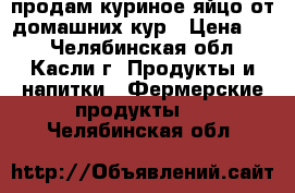 продам куриное яйцо от домашних кур › Цена ­ 7 - Челябинская обл., Касли г. Продукты и напитки » Фермерские продукты   . Челябинская обл.